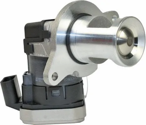 EGR Valve (CGR4894)