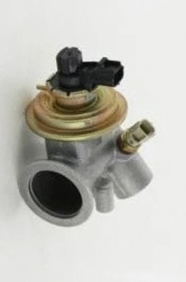 EGR Valve (CGR4987)