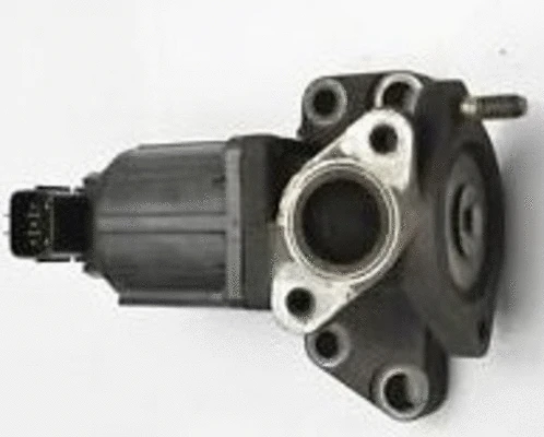 EGR Valve (CGR5002)