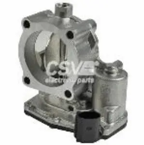 Throttle Body (CCM8220)