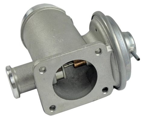 EGR Valve (CGR4919)