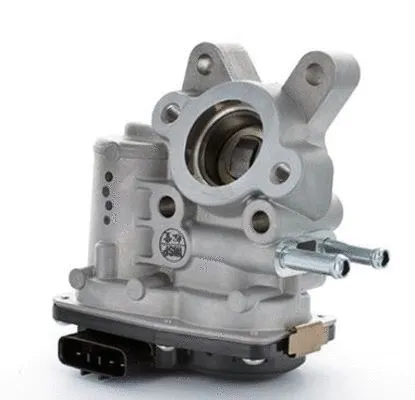 EGR Valve (CGR5017C)