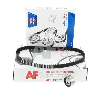 Timing Belt Kit (PTK1061)