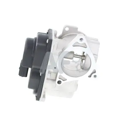 EGR Valve (PGR0039)