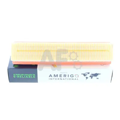 Air Filter (PAF5461)