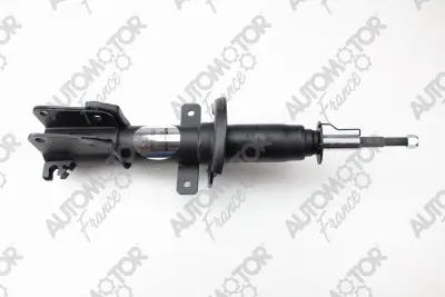 Shock Absorber (PSG8454)