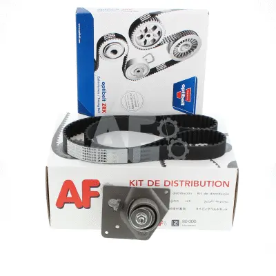 Timing Belt Kit (PTK7048)