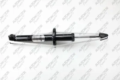 Shock Absorber (PSG6119)