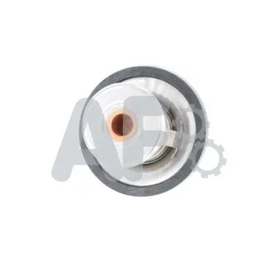 Thermostat, coolant (PTH2787)