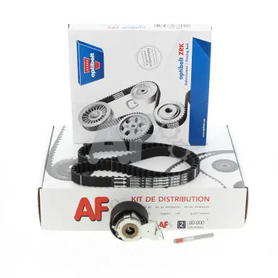 Timing Belt Kit (PTK31S0)