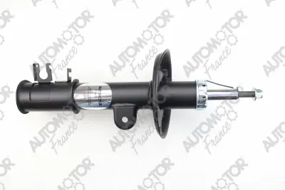 Shock Absorber (PSG9712)