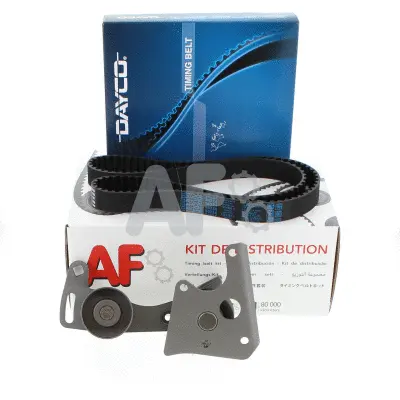 Timing Belt Kit (PTK0953)