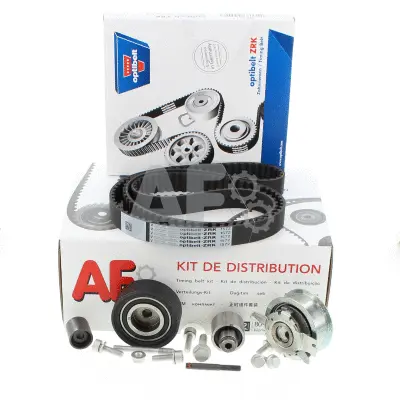 Timing Belt Kit (PTK1010)