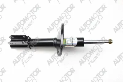 Shock Absorber (PSG8609)