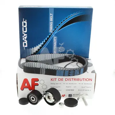 Timing Belt Kit (PTK1127)