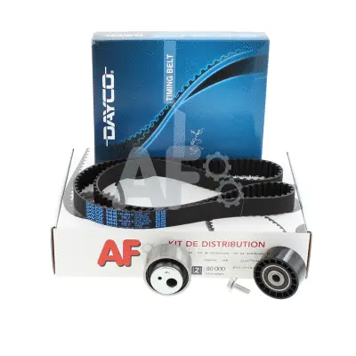 Timing Belt Kit (PTK1070)