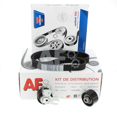 Timing Belt Kit (PTK31T5)
