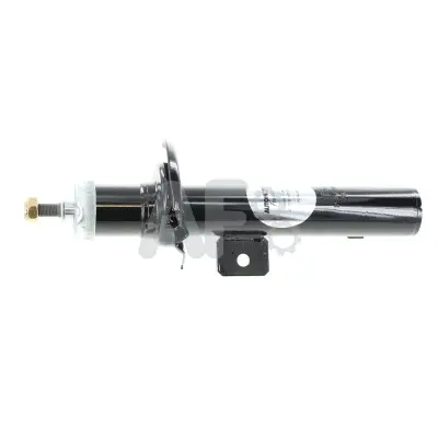 Shock Absorber (PSH4204)
