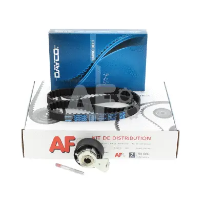 Timing Belt Kit (PTK31S1)