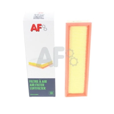 Air Filter (PAF5469)