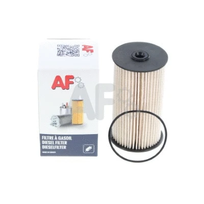 Fuel Filter (PFF0509)