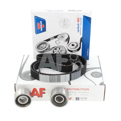 Timing Belt Kit (PTK1011)