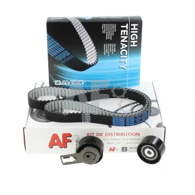 Timing Belt Kit (PTK7480)