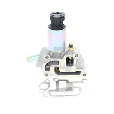 EGR Valve (PGR0024)
