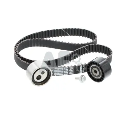 Timing Belt Kit (PTK1059)