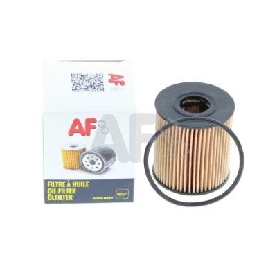 Oil Filter (POF1109)