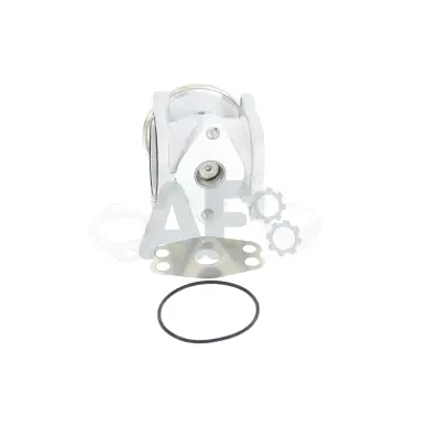 EGR Valve (PGR4008)