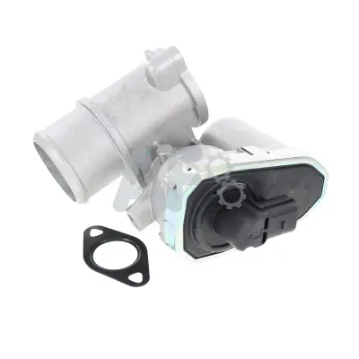 EGR Valve (PGR4060)