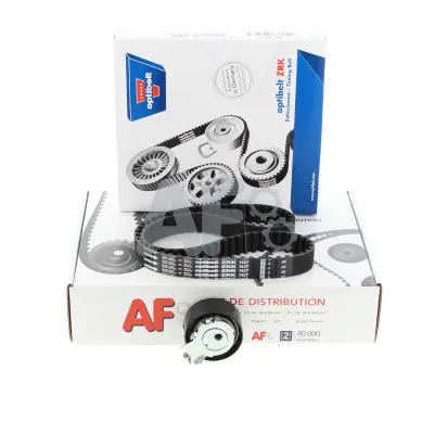 Timing Belt Kit (PTK1045)
