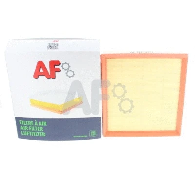 Air Filter (PAF9802)