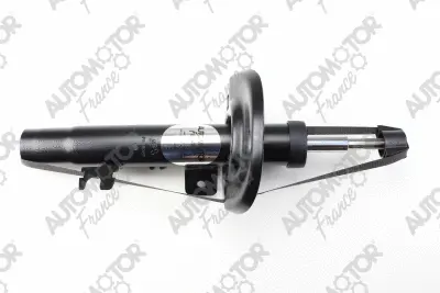 Shock Absorber (PSG9080)