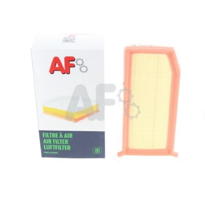 Air Filter (PAF5467)