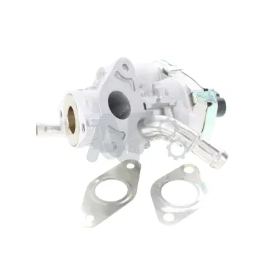 EGR Valve (PGR4125)