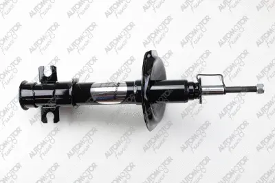 Shock Absorber (PSG8166)