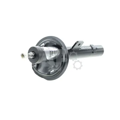 Shock Absorber (PSH4055)