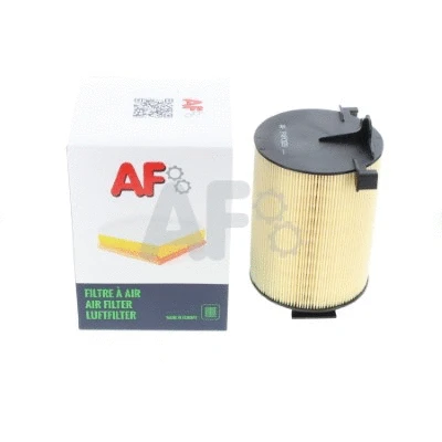 Air Filter (PAF0129)
