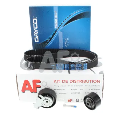 Timing Belt Kit (PTK31R9)