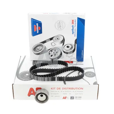 Timing Belt Kit (PTK1117)
