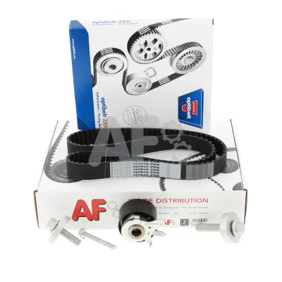 Timing Belt Kit (PTK7028)