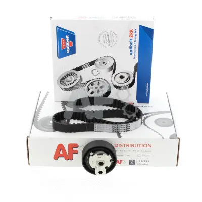 Timing Belt Kit (PTK1013)