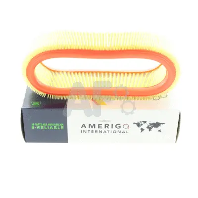 Air Filter (PAF0107)