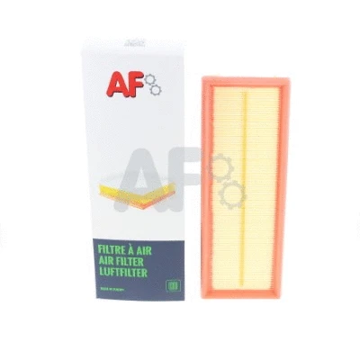 Air Filter (PAF1444)