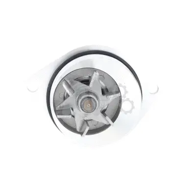 Water Pump, engine cooling (PWP0161)