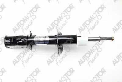 Shock Absorber (PSG8824)