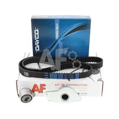 Timing Belt Kit (PTK1089)