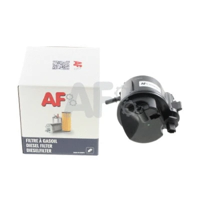 Fuel Filter (PFF9018)